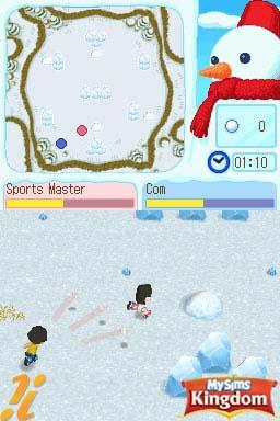 DS Screenshots