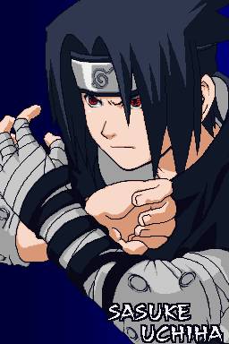 DS Screenshots