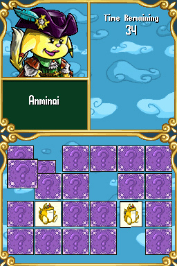 DS Screenshots