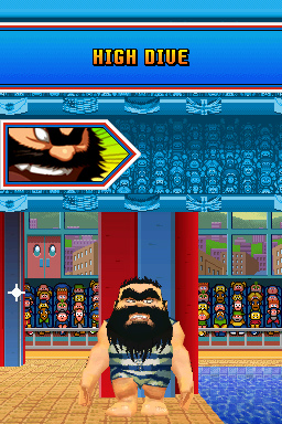 DS Screenshots