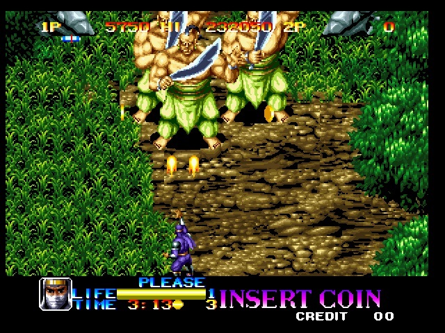 Ninja Commando