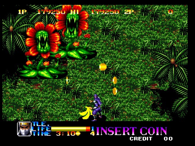 Ninja Commando