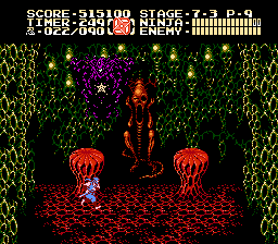 NES Screenshots