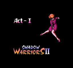NES Screenshots