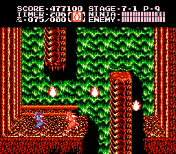 NES Screenshots