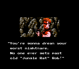 NES Screenshots