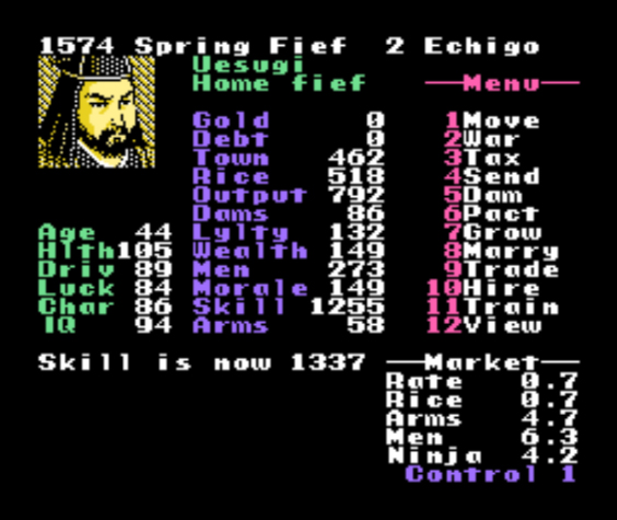 NES Screenshots