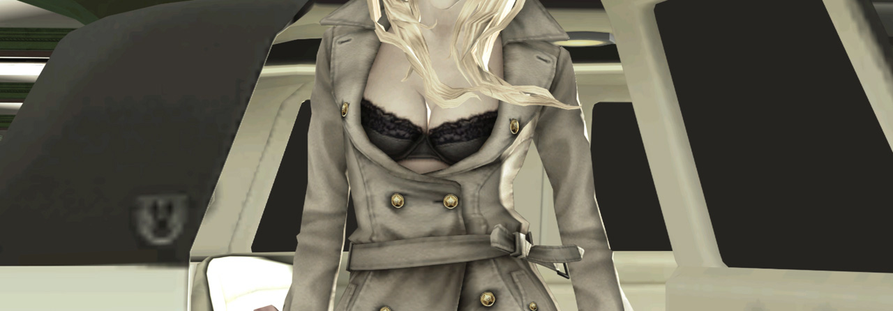 No More Heroes 2: Desperate Struggle