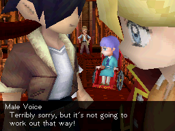 DS Screenshots