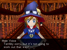 DS Screenshots