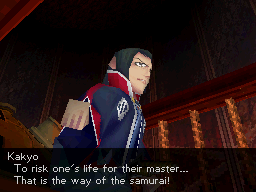 DS Screenshots
