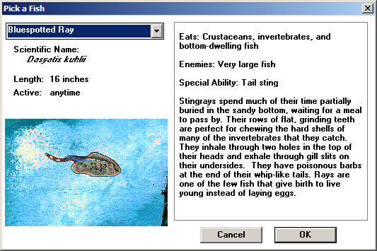Types of Fish