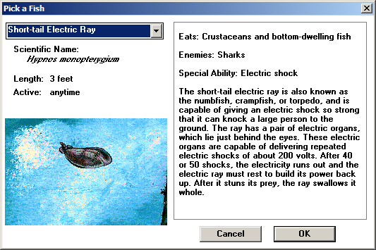 Types of Fish