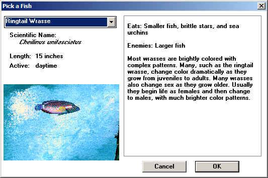 Types of Fish