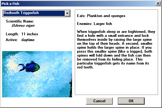 Types of Fish
