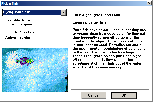 Types of Fish