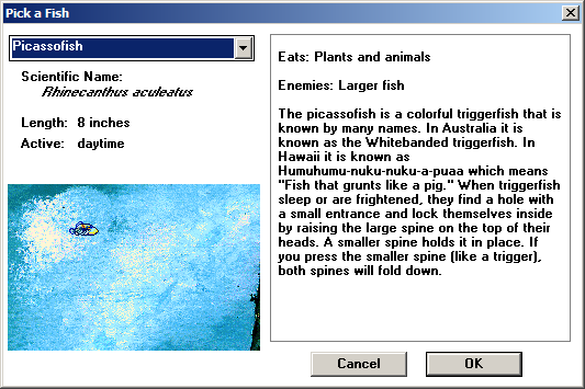 Types of Fish