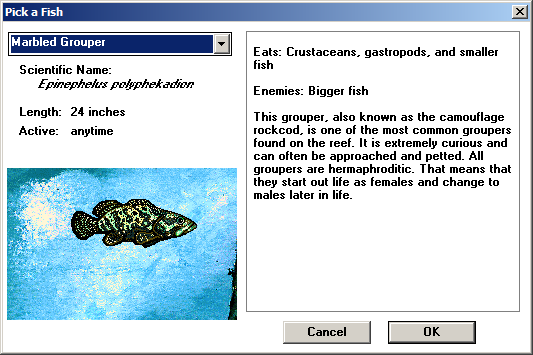 Types of Fish