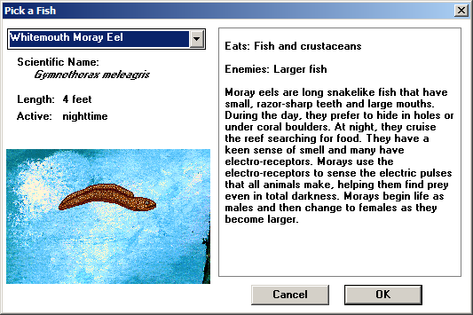 Types of Fish