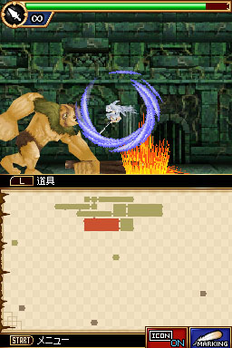 DS Screenshots
