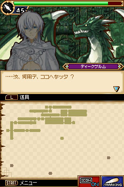 DS Screenshots