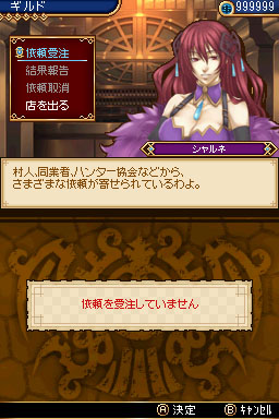 DS Screenshots