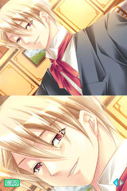 DS Screenshots