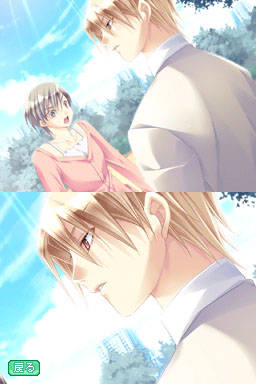 DS Screenshots