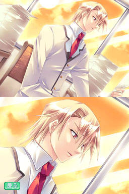 DS Screenshots