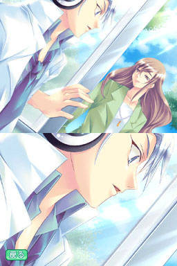 DS Screenshots