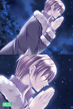 DS Screenshots