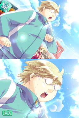 DS Screenshots