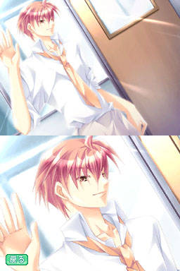DS Screenshots