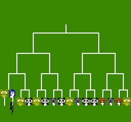 NES Screenshots