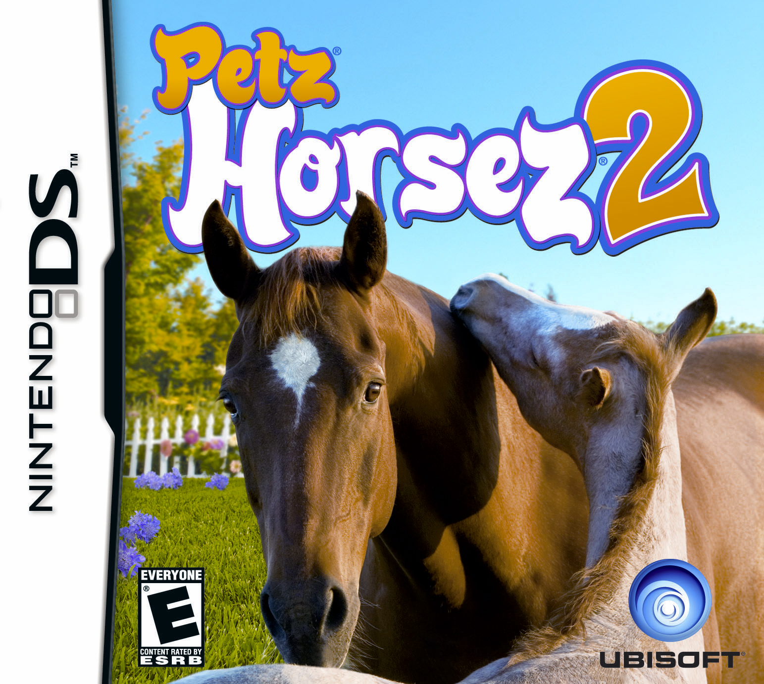 Box Art
