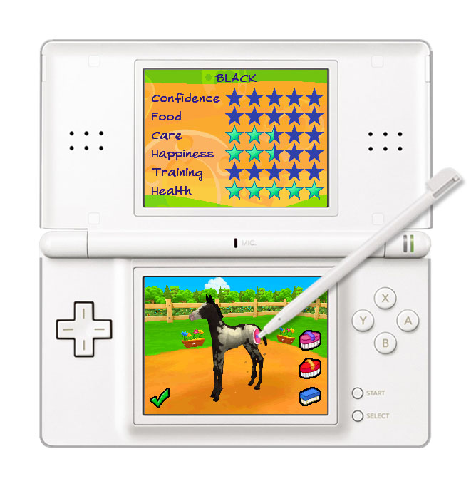 DS Screenshots