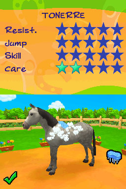 DS Screenshots
