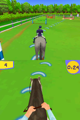 DS Screenshots