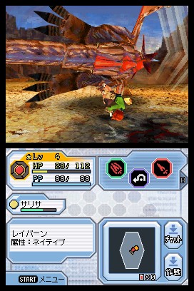 DS Screenshots