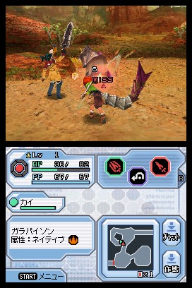 DS Screenshots
