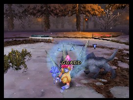 DS Screenshots