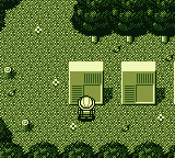 Picross 2
