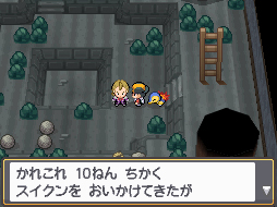 NDS Screenshots
