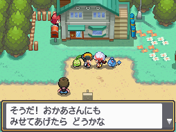NDS Screenshots