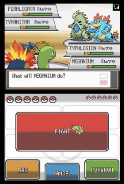 NDS Screenshots