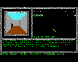 AMI Screenshots