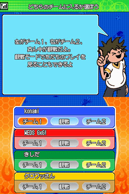 DS Screenshots