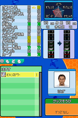 DS Screenshots