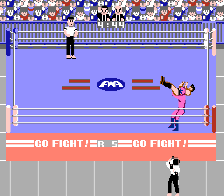 Pro Wrestling