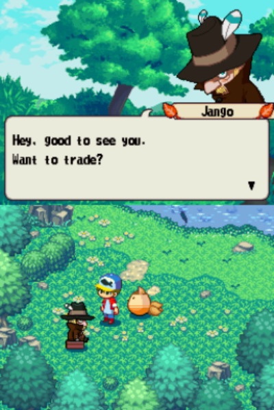 DS Screenshots